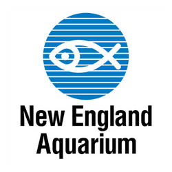 New England Aquarium